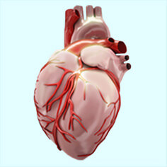 Cardiology