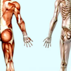 Orthopedics