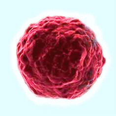 Cancer Treatments
