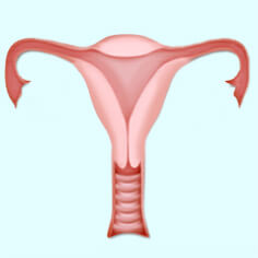 Gynecology