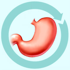 Organ Transplantation 